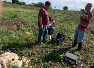 Prefeitura realiza avaliação de unidade demonstrativa do PAT Mandiocultura e assistência técnica veterinária na comunidade Menino Jesus