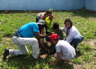 Prefeitura realiza plantio de frutíferas em UBS de Teixeira de Freitas