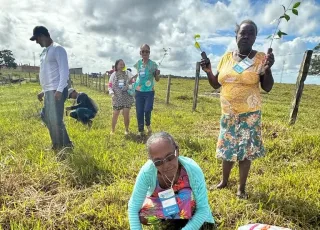 Prefeitura realiza plantio de mudas nativas em zona urbana de Teixeira de Freitas