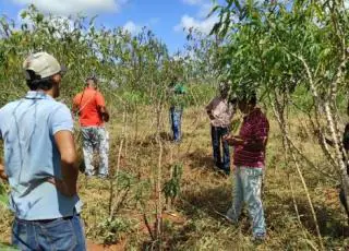 Prefeitura realiza visita para avaliação técnica no distrito de Jardim Novo para o projeto Pat Mandiocultura