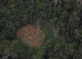 Preso dono de fazenda com plantação de 4 toneladas de maconha na Bahia