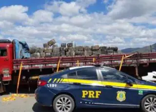 PRF apreende 3,5t de maconha na BR 116 e se aproxima da impressionante marca de 15 toneladas apreendidas da droga só neste ano