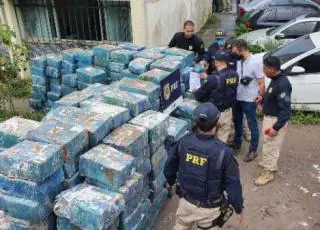 PRF apreende 5 toneladas de maconha  escondida em caminhão na BR-116 na Bahia