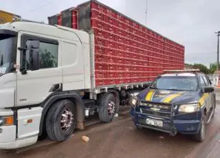 PRF apreende caminhão que transportava carga viva irregularmente em Teixeira de Freitas