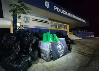 PRF apreende mais de 1,6 tonelada de drogas escondida em carga de hortifrúti na BR-116, na Bahia