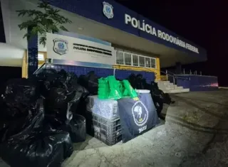PRF apreende mais de 1,6 tonelada de drogas escondida em carga de hortifrúti na BR-116, na Bahia