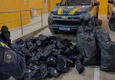 PRF Apreende Mais de 100 kg de Maconha em Simões Filho