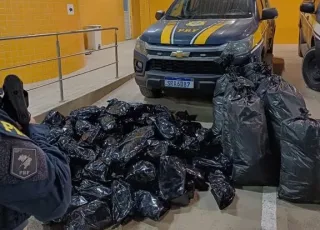 PRF Apreende Mais de 100 kg de Maconha em Simões Filho