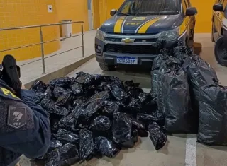 PRF Apreende Mais de 100 kg de Maconha em Simões Filho