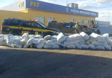 PRF apreende mais de 780 kg de maconha em caminhão durante operação na Bahia