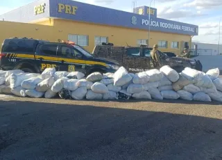 PRF apreende mais de 780 kg de maconha em caminhão durante operação na Bahia