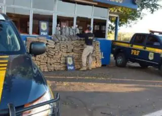 PRF apreende quase 1 tonelada de maconha em falso ônibus escolar