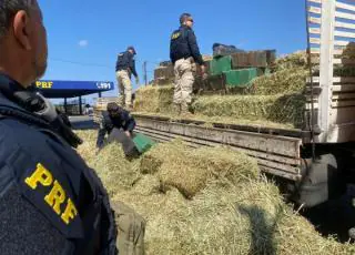 PRF apreende quase 3 toneladas de maconha na BR 116