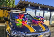 PRF apreende quase 48 kg de maconha em ônibus de turismo na BR-116, na Bahia