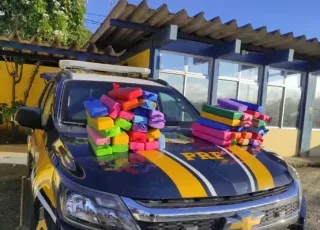PRF apreende quase 48 kg de maconha em ônibus de turismo na BR-116, na Bahia