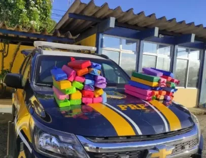 PRF apreende quase 48 kg de maconha em ônibus de turismo na BR-116, na Bahia