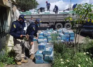 PRF apreende quase 6 toneladas de maconha em meio a carga de farinha de trigo na Bahia