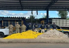 PRF apreende quase meia tonelada de cocaína após fuga de motorista, na Bahia