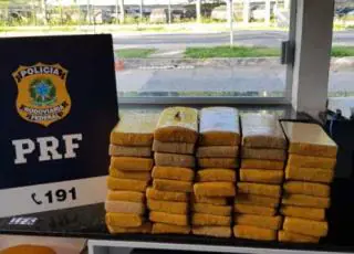 PRF apreende quase 50 quilos de maconha na BR 101 em ônibus de turismo que ia para Porto Seguro