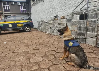 PRF faz a maior apreensão única de cocaína da sua história: 1.860 Kg