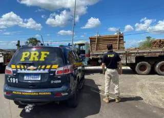 PRF flagra exploração de trabalho infantil e maus-tratos em Santo Antônio de Jesus