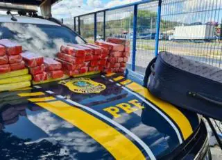 PRF flagra passageira de ônibus com 35 quilos de maconha em Jequié