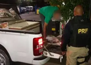 PRF flagra transporte irregular de 270 kg de peixes em Teixeira de Freitas