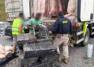 PRF-MG realiza sua maior apreensão de drogas da história
