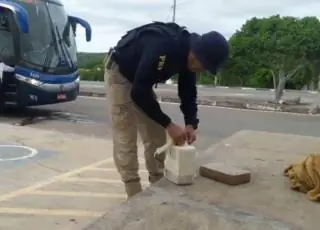 PRF prende três passageiros de ônibus transportando drogas