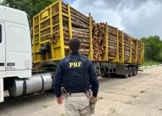 PRF apreende  carreta  carregada com eucalipto  na BR 101 em Teixeira de Freitas