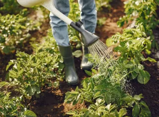 Produtores rurais de Ibirapuã já podem fazer o Cadastro Nacional da Agricultura Familiar (CAF)