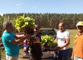 Produtores serão beneficiados com a distribuição de mudas para restauração da nascente do Rio Mucuri