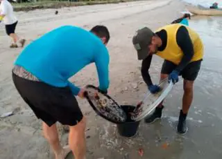 Professor da UFSB realiza testes com barreiras de contenção em praias de Caravelas afetadas pelo óleo