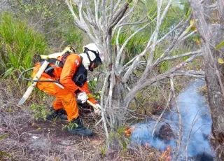 Programa Bahia Sem Fogo reforça combate aos incêndios florestais no estado