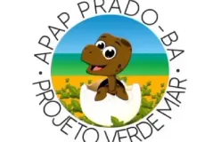 Projeto Verde Mar lamenta destruição de ninhos de tartarugas durante o Réveillon em Prado.