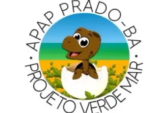 Projeto Verde Mar lamenta destruição de ninhos de tartarugas durante o Réveillon em Prado.