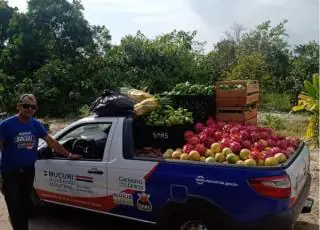 Quase 3 toneladas de alimentos foram recolhidos através do PAA municipal em Mucuri