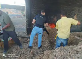 Quase 65 quilos de cocaína são incinerados pela Polícia Civil em Teixeira de Freitas