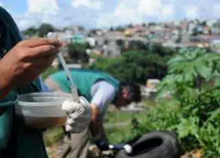 Quase mil cidades podem ter surto de dengue, zika e chikungunya