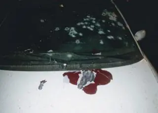 Quatro irmãos são executados dentro do carro no Paraná