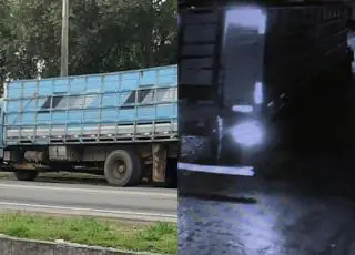 Quatro pessoas foram detidas em Eunápolis com gado furtado em Medeiros Neto e Itamaraju