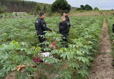 Quatro suspeitos de tentativa de homicídio são presos em Teixeira de Freitas e Alcobaça