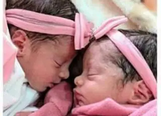 Recém-nascidas gêmeas morrem após serem atacadas por cachorro da família no interior da Bahia