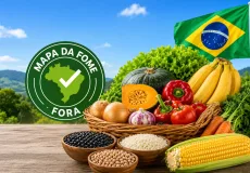Relatório da ONU confirma que Brasil permanece fora do Mapa da Fome e aponta melhora em indicadores 
