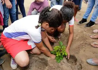 Crianças participam do plantio de árvores para celebrar o Dia Mundial da Terra em Teixeira de Freitas