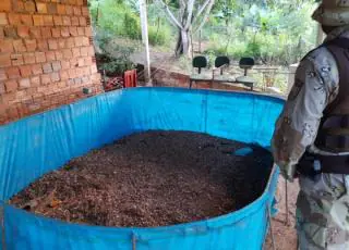 Rinha de galo é descoberta durante cumprimento de mandado