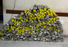 RONDESP Extremo Sul apreende quase 300 Kg de maconha em Eunápolis