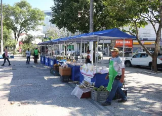 Sabores da Terra: Teixeira de Freitas se prepara para mais uma edição da Feira da Agricultura Familiar