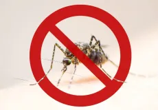 Saiba como se proteger contra a dengue, zica e chikungunya