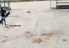 Saída do presídio termina em morte: homem é executado no Eixo Sul